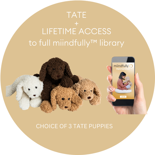 MIXED TATE LITTER + LIFETIME access to full miindfully™ library