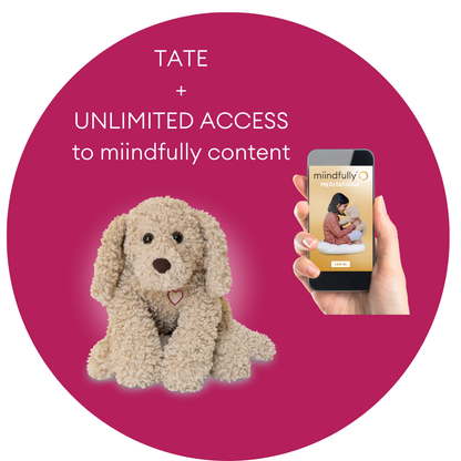 TATE + UNLIMITED full access to all miindfully content