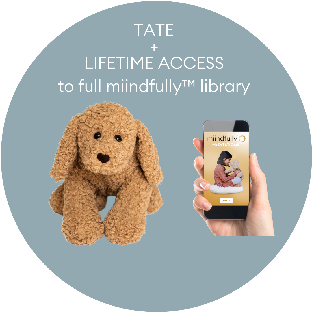 TATE + UNLIMITED full access to all miindfully™ content