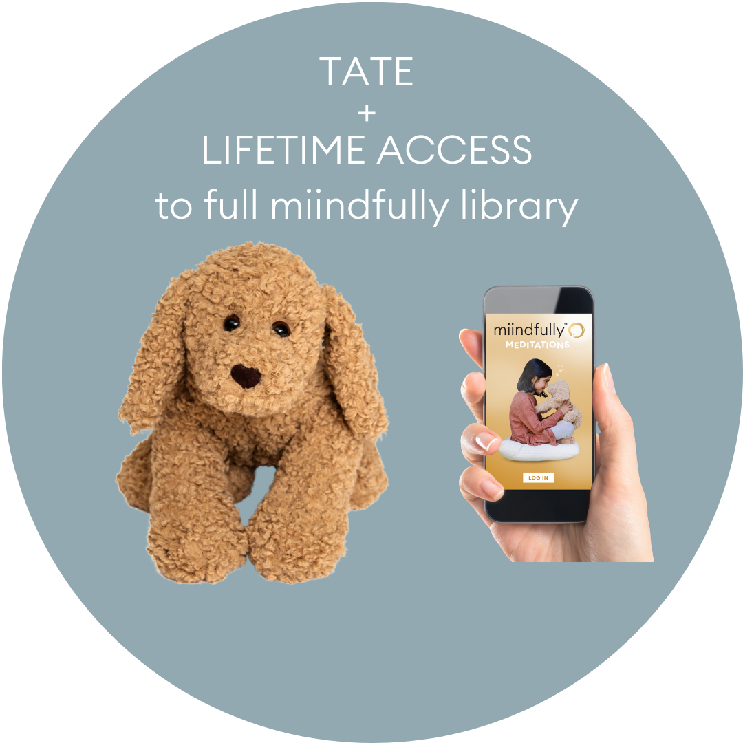 TATE + UNLIMITED full access to all miindfully™ content