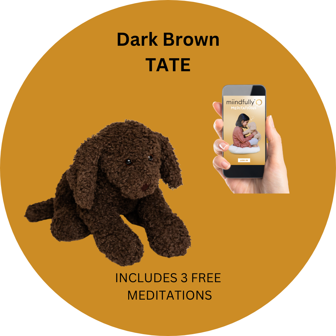 TATE + One-Year Subscription