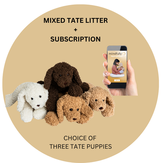 MIXED TATE LITTER + Family subscription