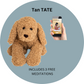 TATE + One-Year Subscription